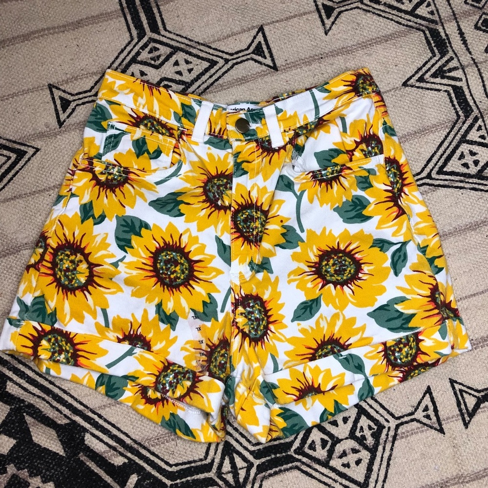 American Apparel Daisy Denim Shorts